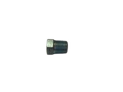 Steering Box Plug
