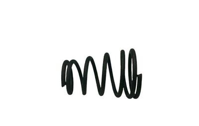 Oil Filter Spring