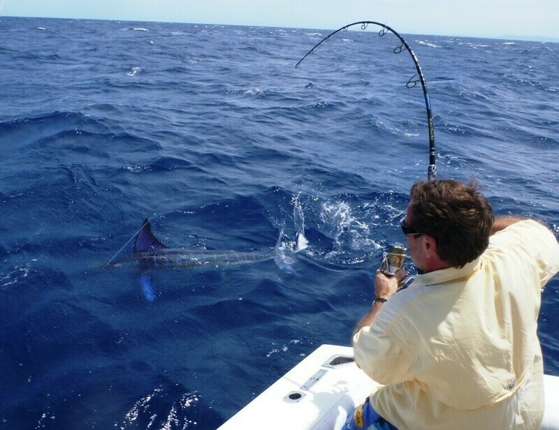 Billfish Buster Camoufish SiC #8199