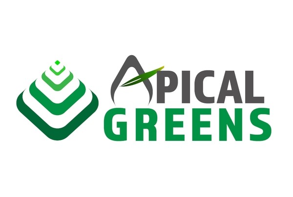Apical Greens Wholesale