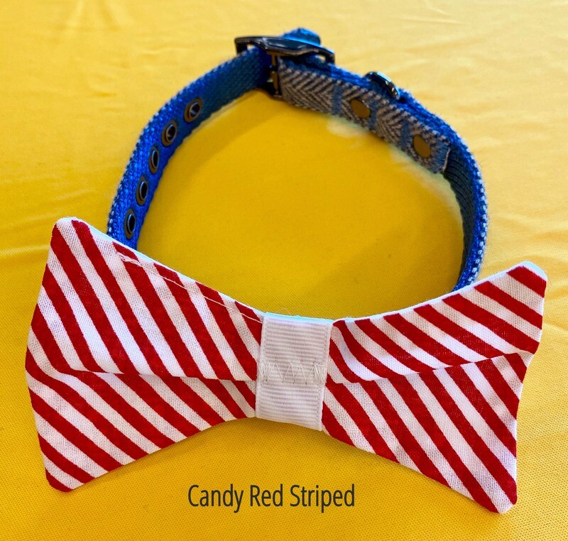 Bow Ties &amp; Flowers (Assorted Prints)