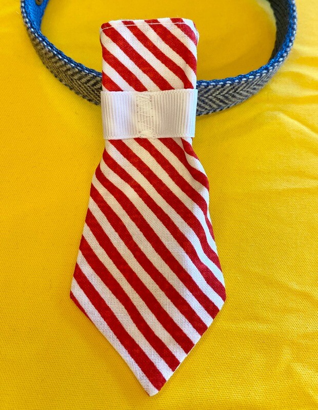 Neckties (Assorted Prints)