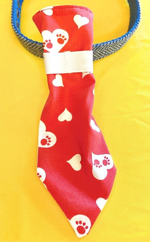 Neckties (Assorted Prints)