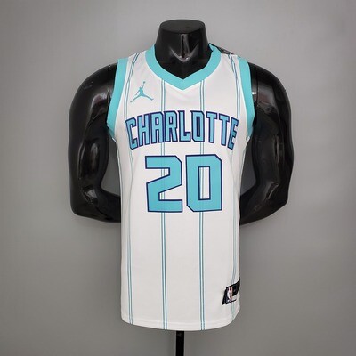 Regata  Charlotte Hornets Jordan -  HAYWARO # 20