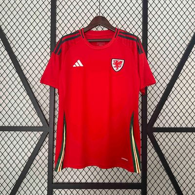 Camisa País de Gales Home 2024-2025 Adidas Torcedor
