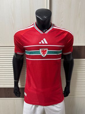 Camisa Seleção País de Gales  2026 Versão Jogador  Copa do Mundo