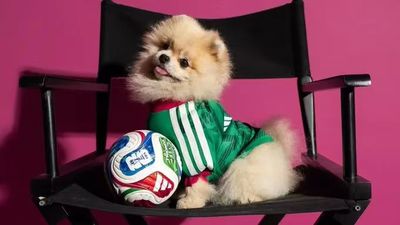 🐶 Pet Futebol