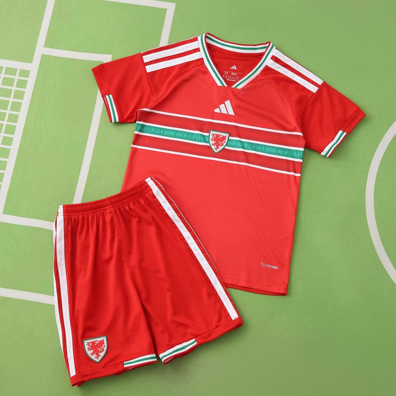 kit Camisa País de Gales 2026/2027 Infantil