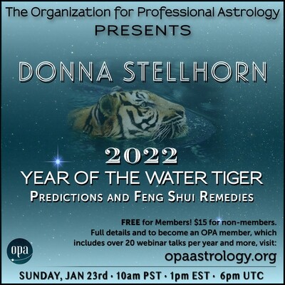 Donna Stellhorn 2022 - Year of the Water Tiger: Predictions and Feng Shui remedies