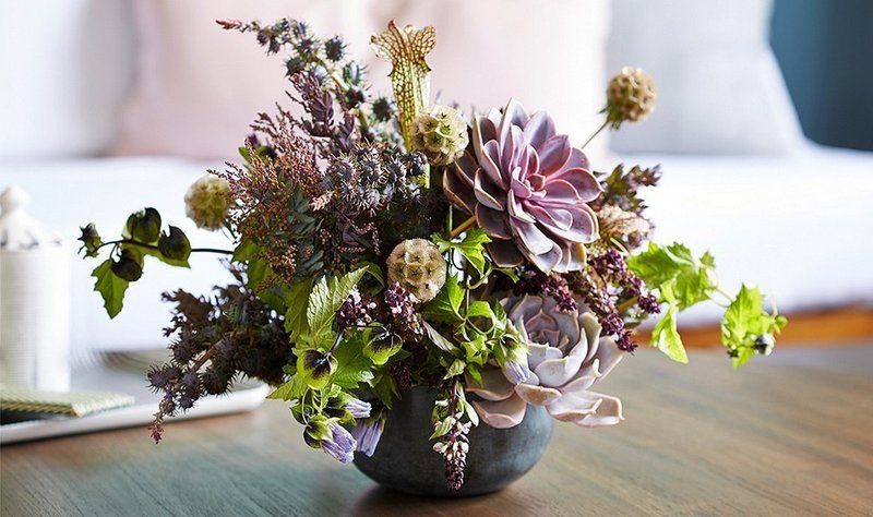 Succulent Centerpiece