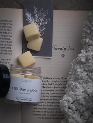 cubes de cire | wax melts