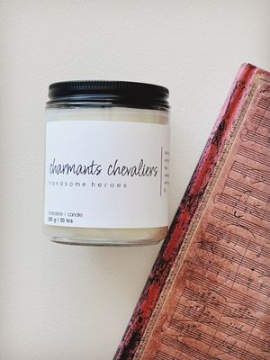 charmants chevaliers | handsome heroes