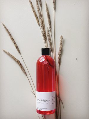 air d'automne | autumn breeze