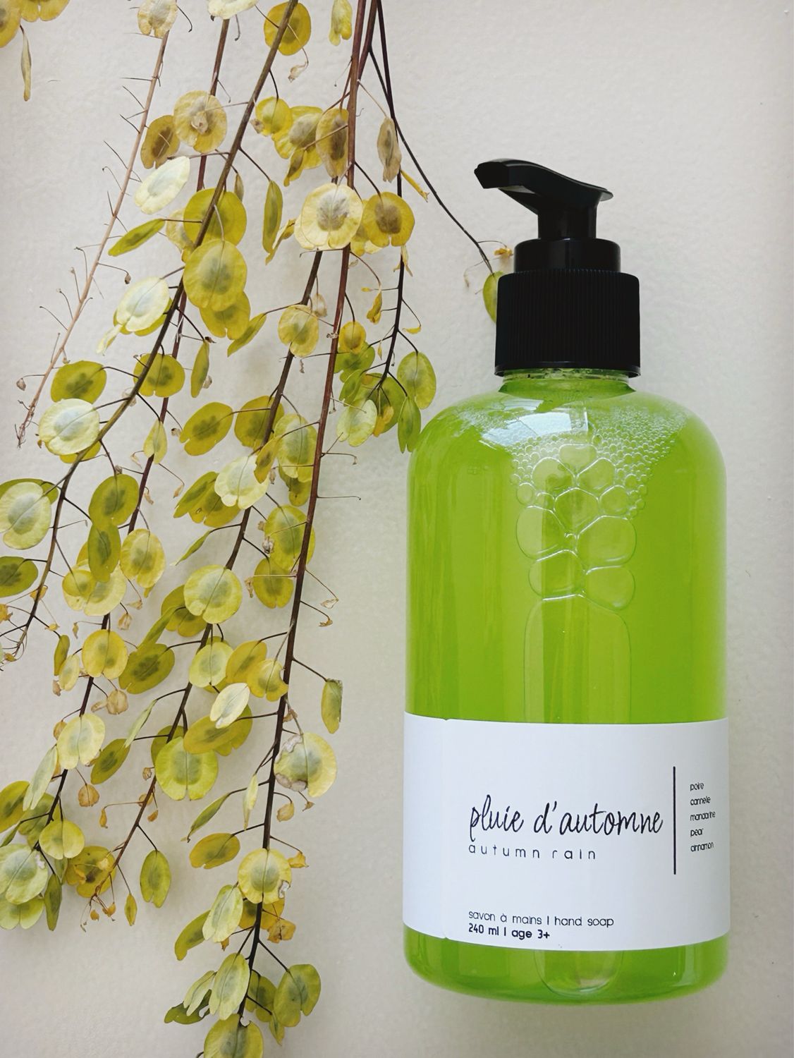 pluie d'automne | autumn rain