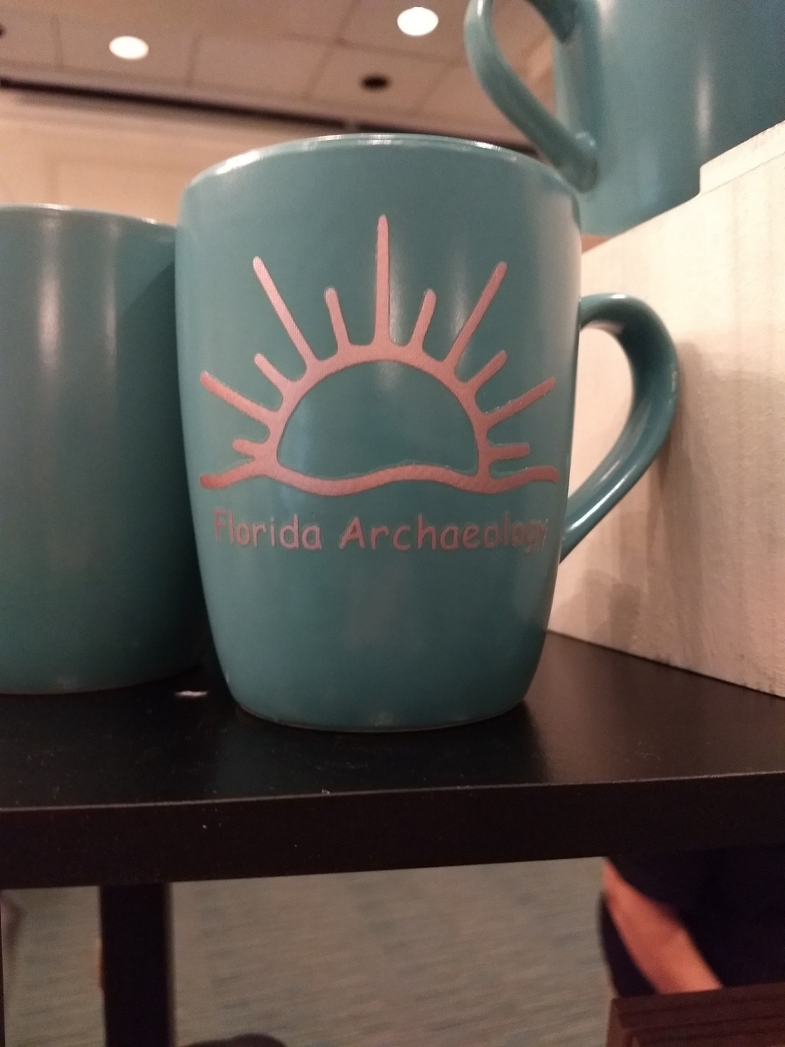 Florida Archaeology Mug
