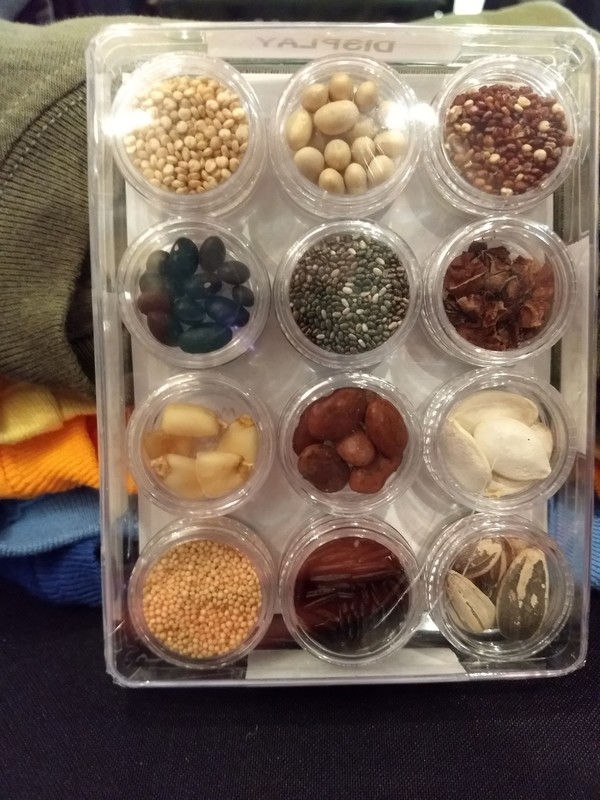 Origins of Agriculture Teaching Kit