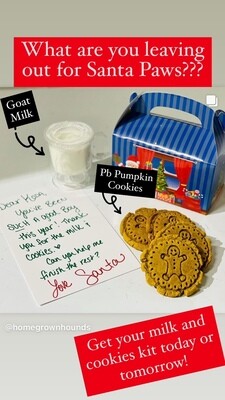 Holiday Milk and Cookies For Santa!