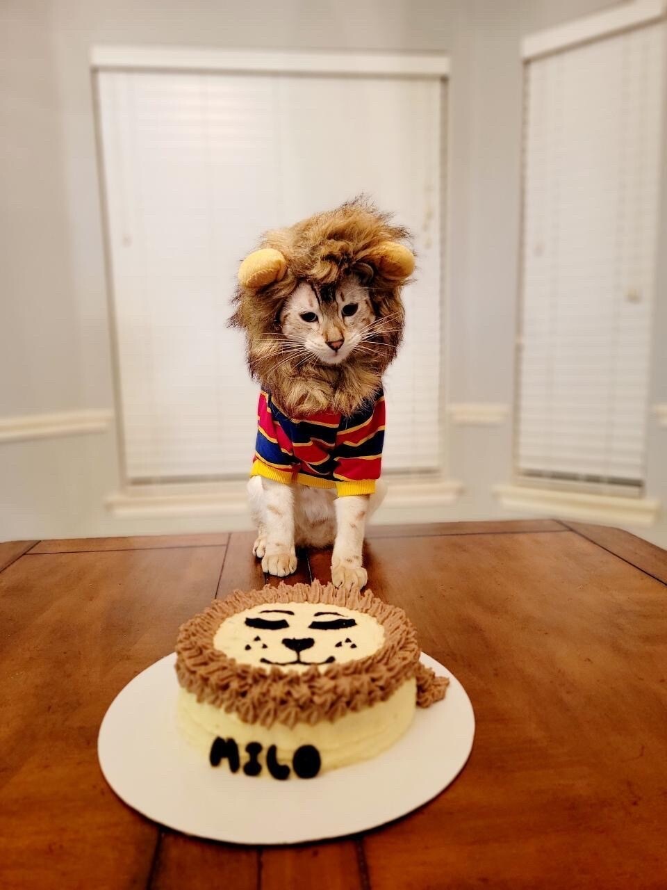 Lion King Cake