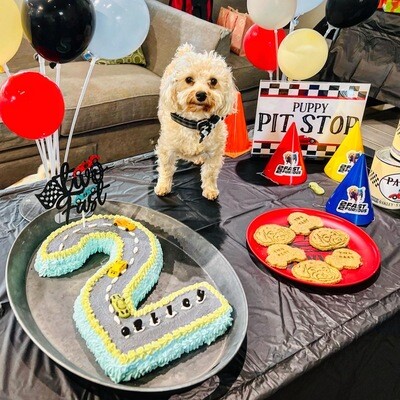 Pawties