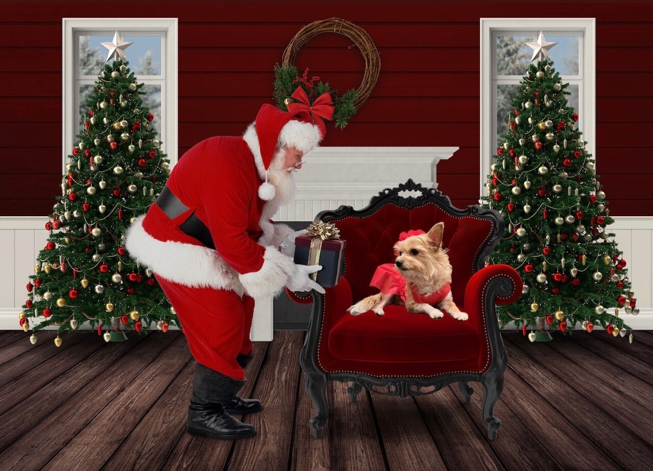 Holiday Green Screen Photos