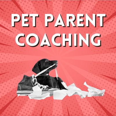 Pet Parent Coaching