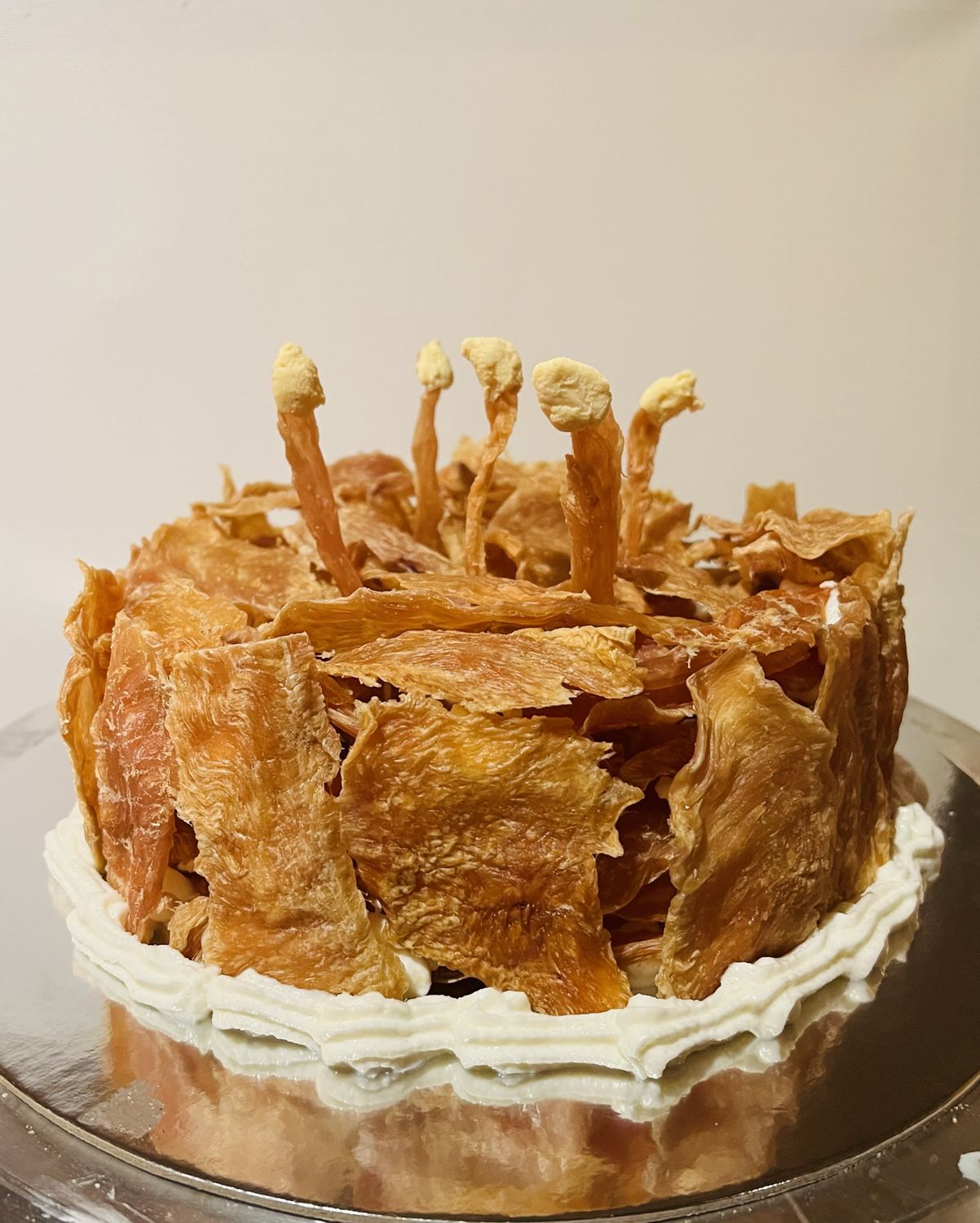Chicken Jerky Cake