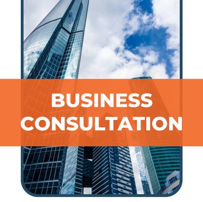 Business Consultations