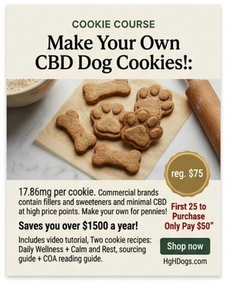 DIY Courses
