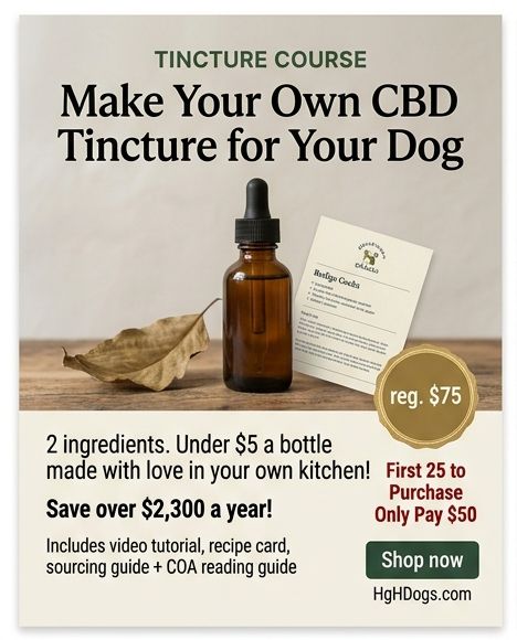 CBD TINCTURE TUTORIAL: How to Make Your Own CBD Tincture for Your Dog