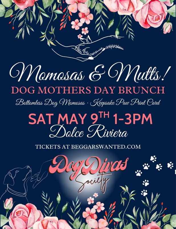 Dog Mother's Day Brunch: MOM-osas & Mutts!