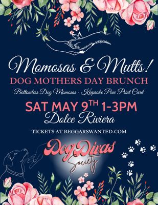 Dog Mother's Day Brunch: MOM-osas & Mutts!