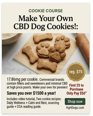 CBD COOKIE TUTORIAL: How to Make Your Own CBD Cookies for Your Dog