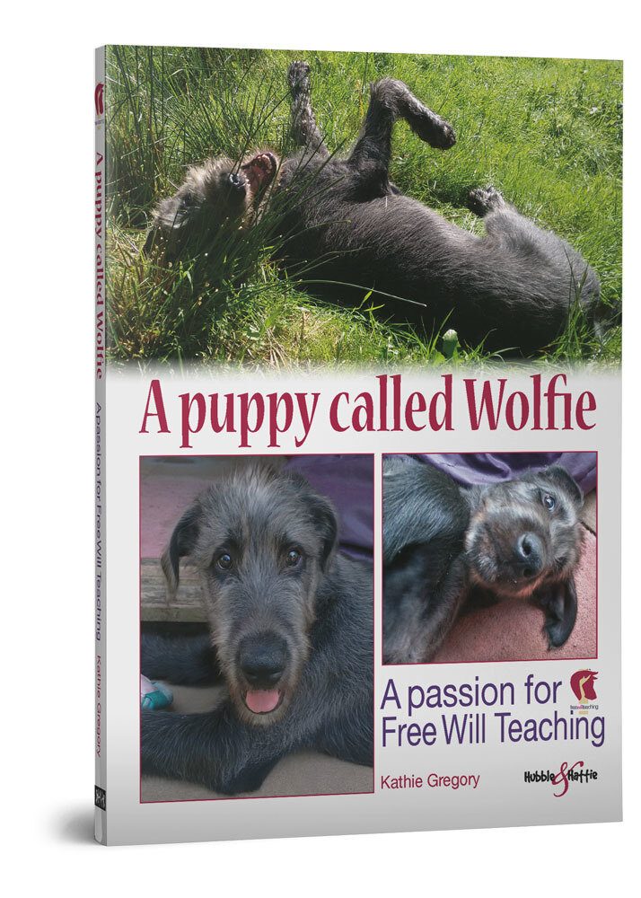 A puppy called Wolfie