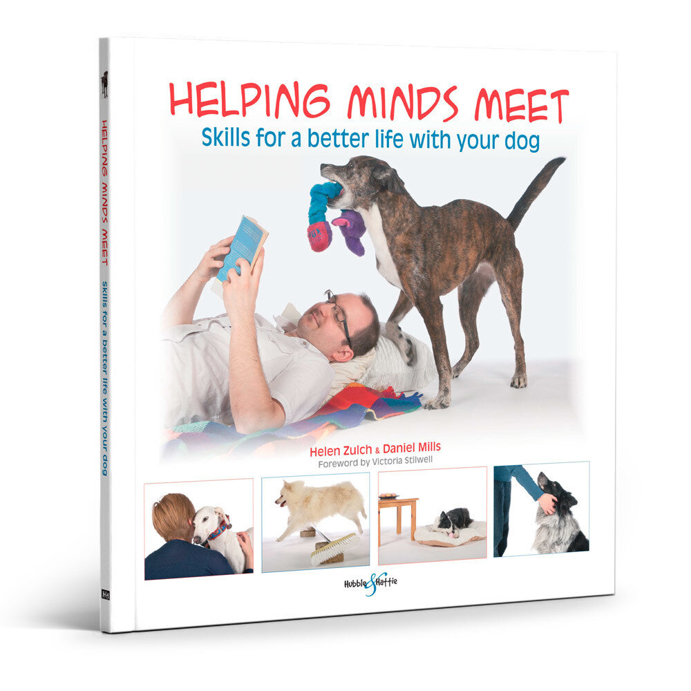 Helping minds meet