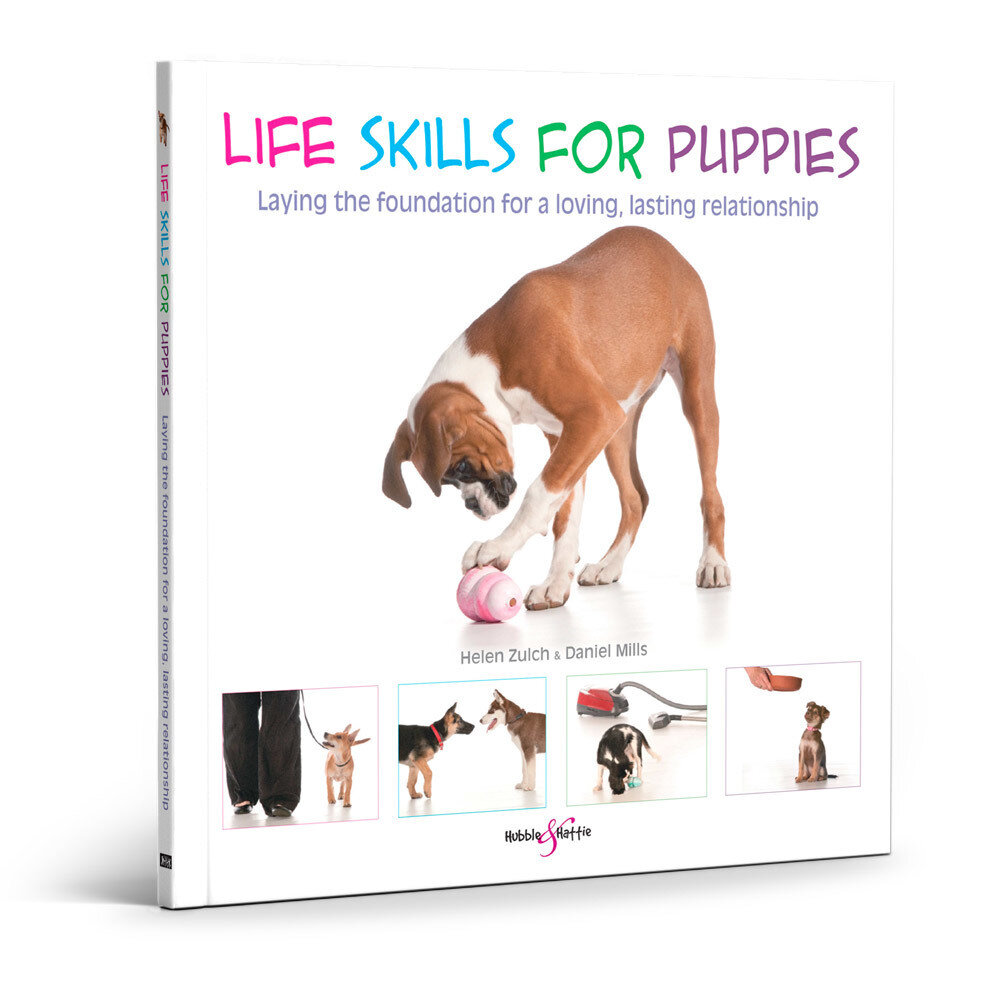 Life skills for puppies