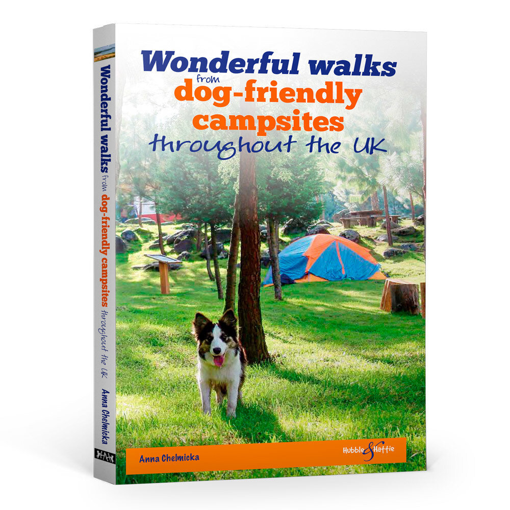Wonderful walks from Dog-friendly campsites throughout the UK