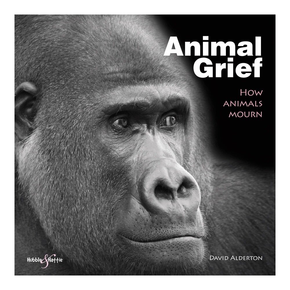 Animal Grief