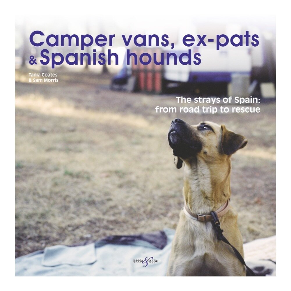 Camper vans, ex-pats and Spanish hounds