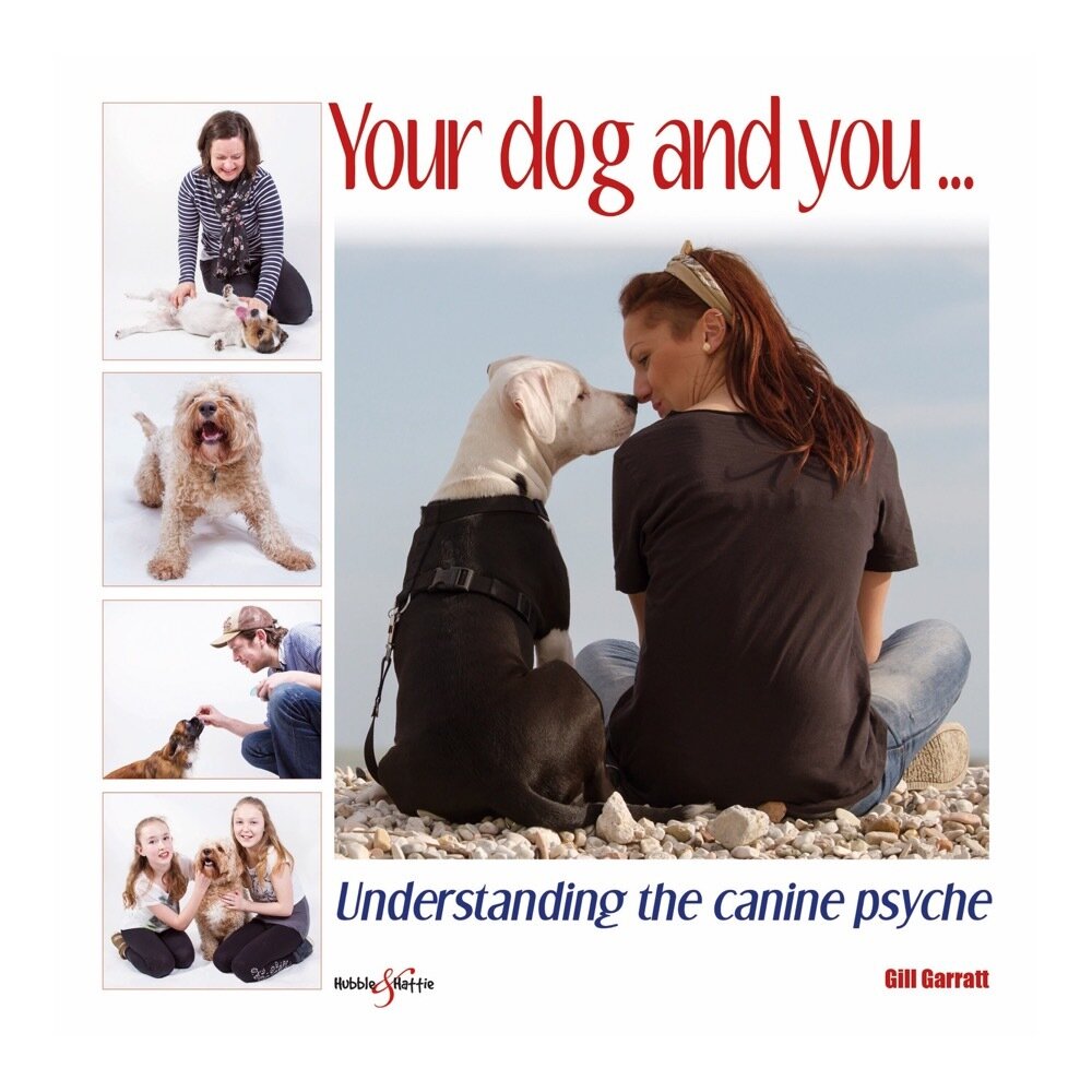 Your dog and you