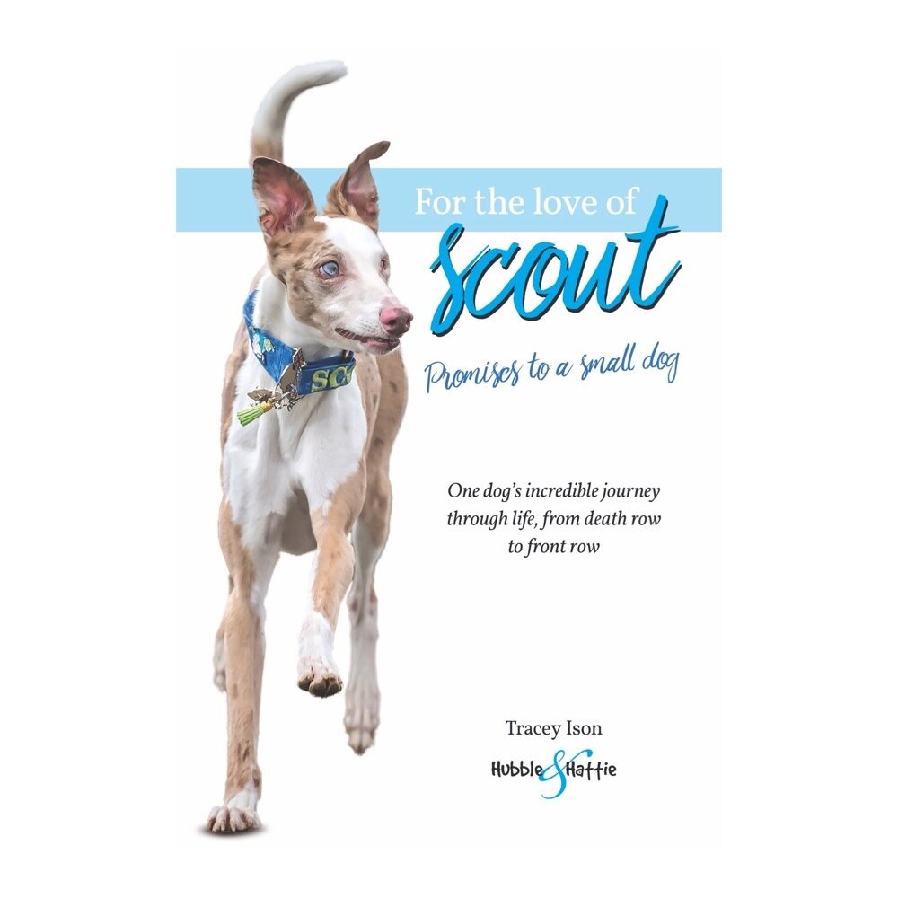 For the love of Scout