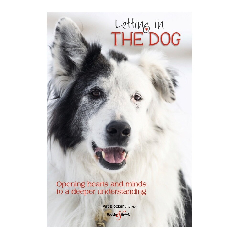Letting in the dog. Opening hearts and minds to a deeper understanding
