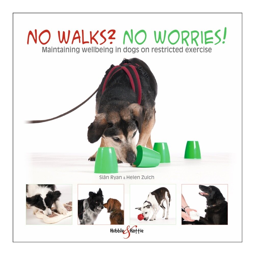 No walks? No worries!