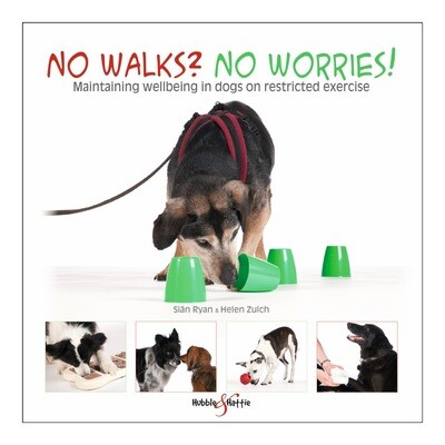 No walks? No worries!