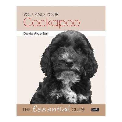 You and Your Cockapoo