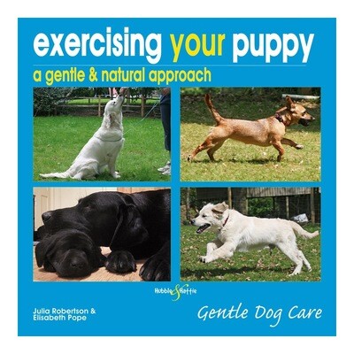 Exercising your puppy: a gentle & natural approach