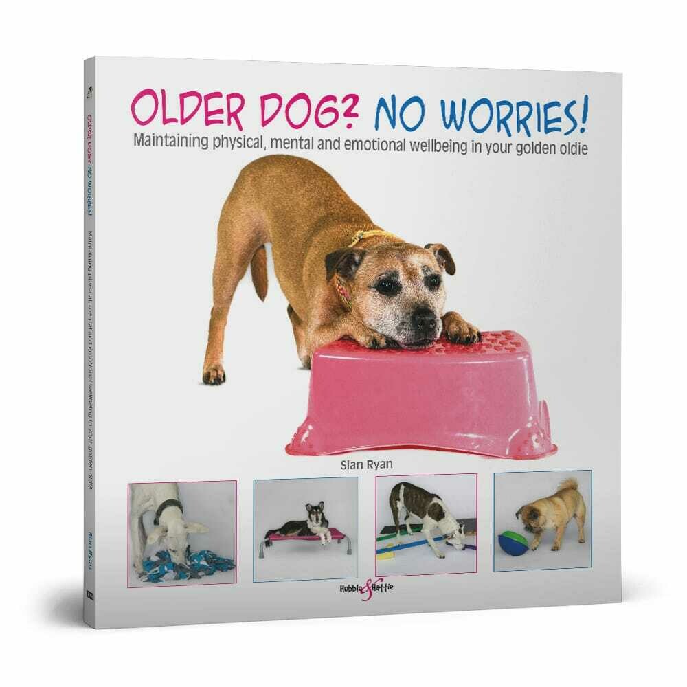 Older dog? No worries!