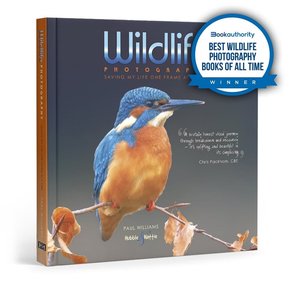 Wildlife photography
