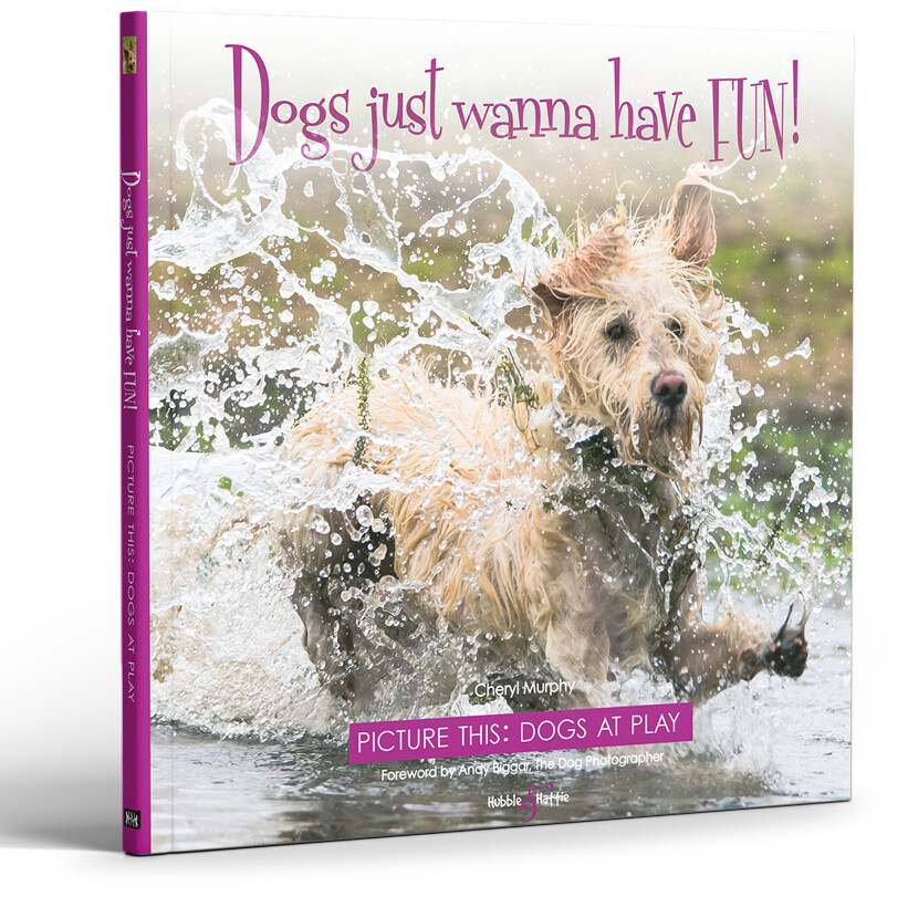 Dogs just wanna have FUN!