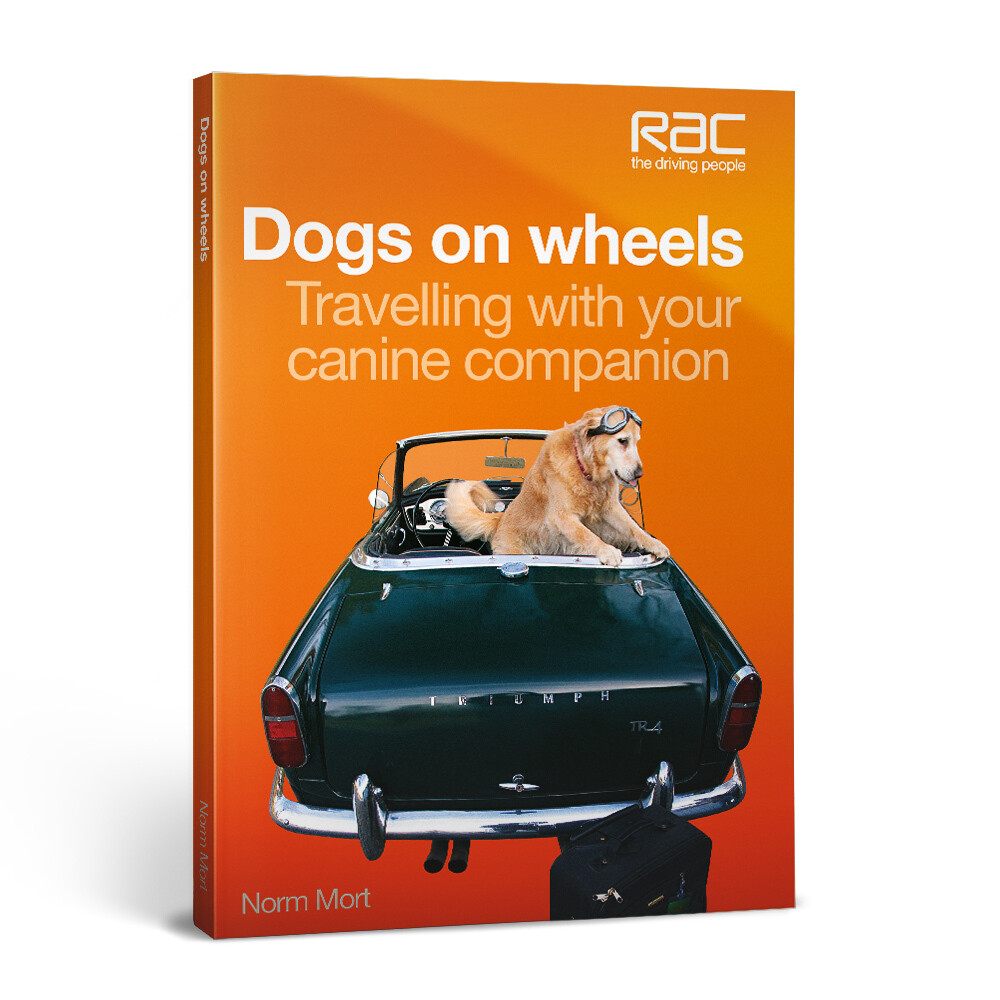 Dogs on wheels