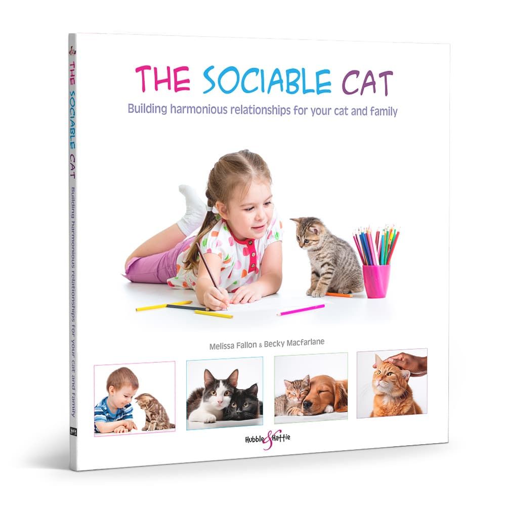 The Sociable Cat